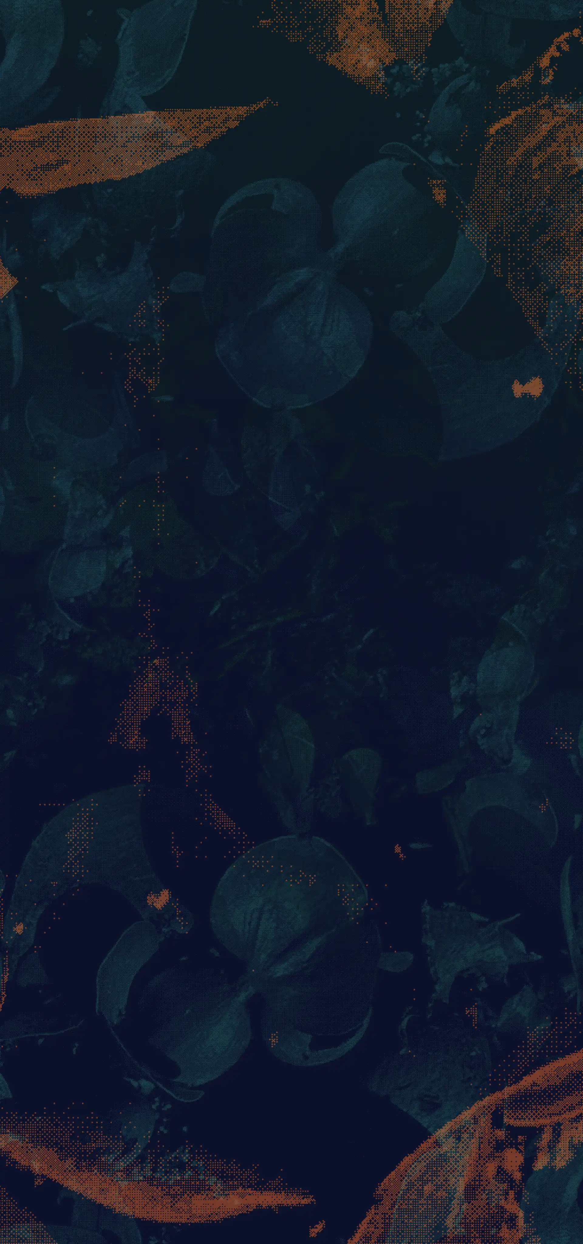 Delta+ — 3D-scanned Paraná Delta ecosystem